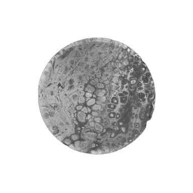AI Visualization